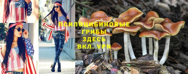 mdpv Балабаново